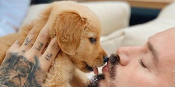 Fotos adorables de J Balvin y perrito