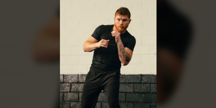 App del Canelo para hacer ejercicio será gratis un mes por contingencia del COVID-19
