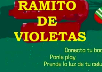 #RamitoDeVioletas, los mexicanos se unen al reto desde ventanas, balcones y azoteas