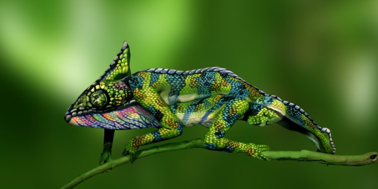 Body painting: Conoce el arte de Johannes Stoetter, que transforma cuerpos en pinturas