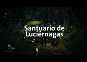 El Santuario de Luciérnagas impresionó a Alan Estrada, aquí la evidencia