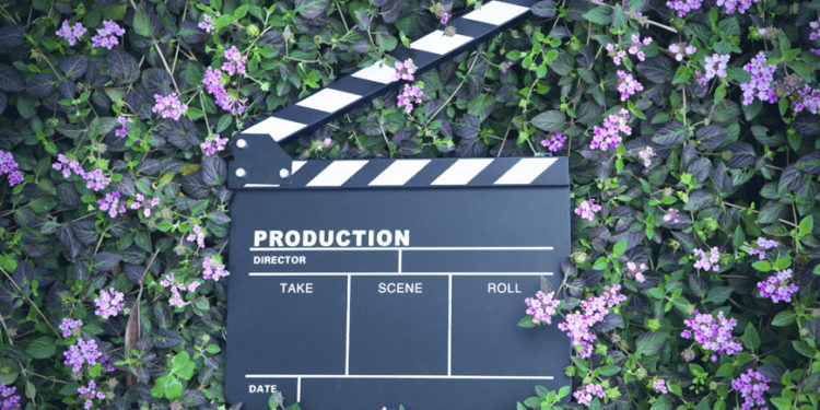 5 películas de Netflix para hacer maratón y festejar a Mamá