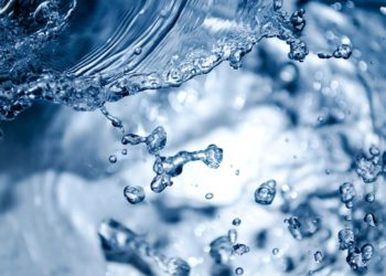 Libre Abordo, empresa mexicana envía ayuda humanitaria a Venezuela ante Covid-19