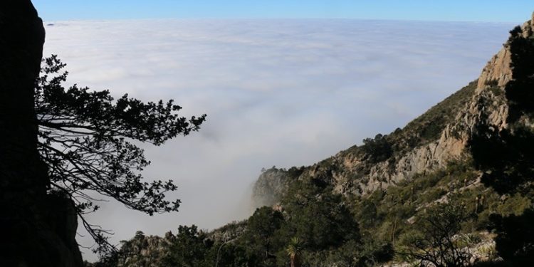 Encuentran hallazgos en Zacatecas que sugieren que en América había humanos 15 mil años antes de lo que se creía