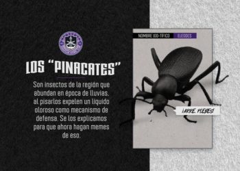 ¿Qué tipo de insectos son los que invadieron la cancha del Mazatlán FC?