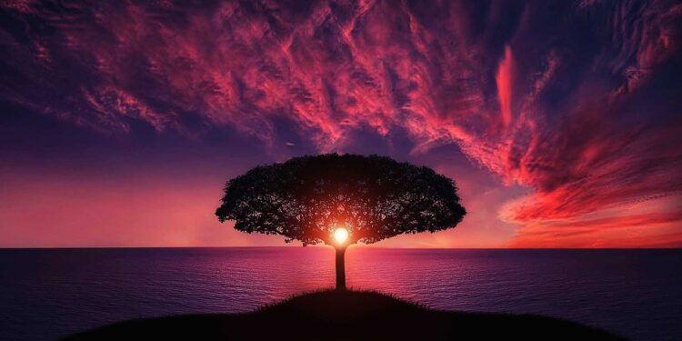 Día Mundial de la Fotografía, ¿cuál es el origen?