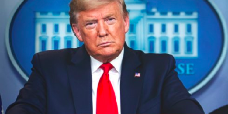 ¡Aunque usted no lo crea! Trump podría ser nominado al Nobel de la Paz