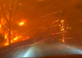 Incendios forestales de California han consumido más de 800 mil hectáreas