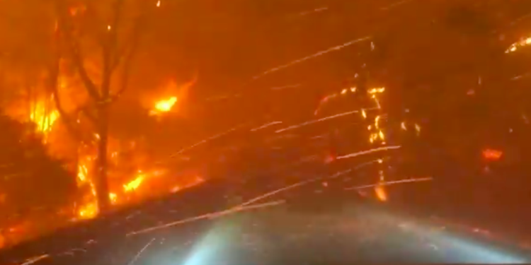 Incendios forestales de California han consumido más de 800 mil hectáreas