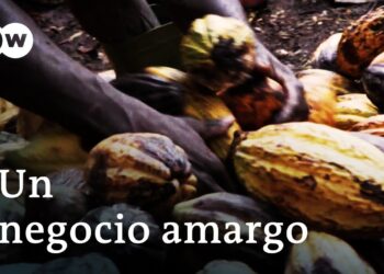 El chocolate – Un negocio amargo | DW Documental