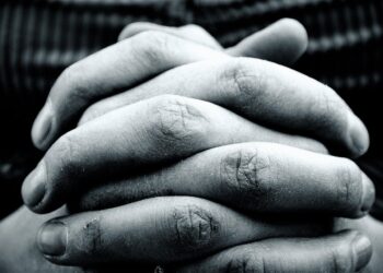 Denuncian extracción de úteros en centros de migrantes en EEUU; SRE abre investigación