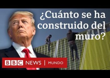 Cuánto se ha construido del famoso muro de Trump y quién lo está pagando | BBC Mundo