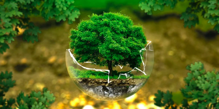Expertos mexicanos hacen un llamado a crear mayor conciencia de la interacción con el medio ambiente