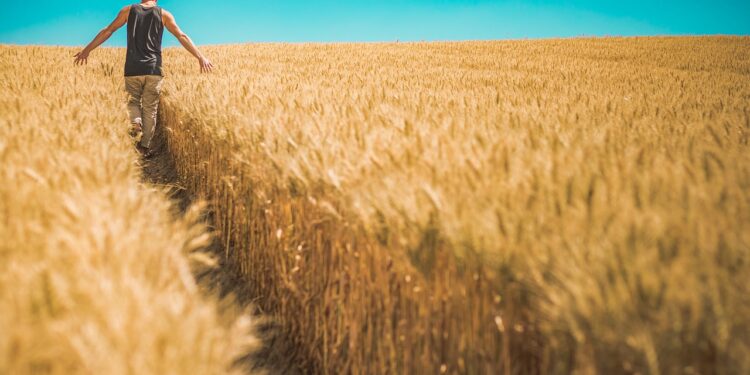 Se realizó la reunión anual binacional para revisar el Programa de Trabajadores Agrícolas Temporales entre México y Canadá