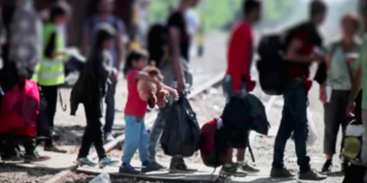 El crecimiento de la migración internacional se redujo en un 27%, debido a la pandemia