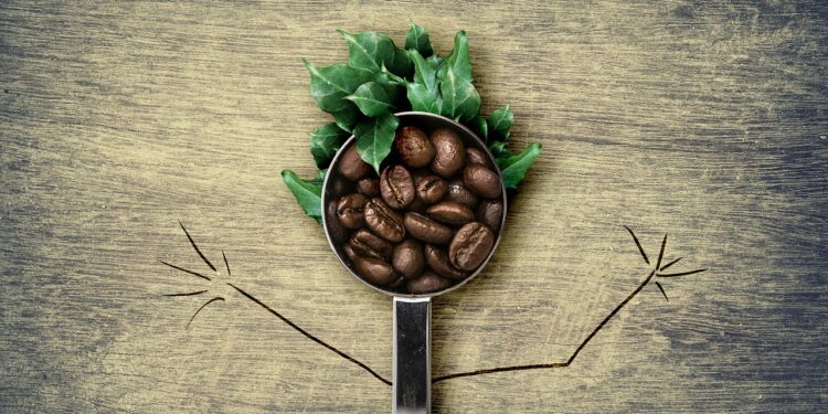 Desarrollan inteligencia artificial a disposición de los caficultores mexicanos