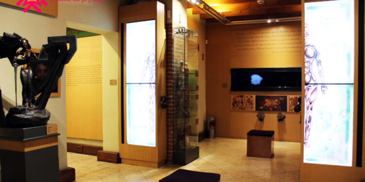 Museo de la Mujer en México, un ejercicio de arte para fomentar la igualdad, libertad y el desarrollo para ellas