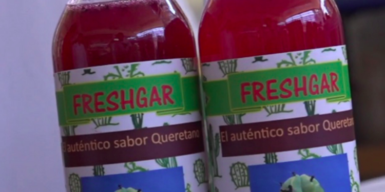 ¡Con sabor a México! La UNAM elabora refresco y leche con insumos nutritivos nacionales