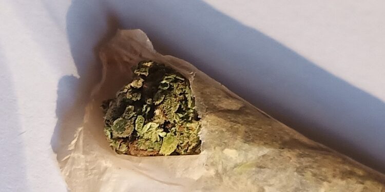 Los consumidores de drogas en el mundo sumaron 275 millones en el último año