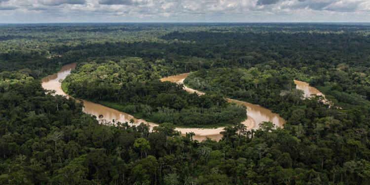 NASA halla que la capacidad de los bosques tropicales para absorber dióxido de carbono disminuye