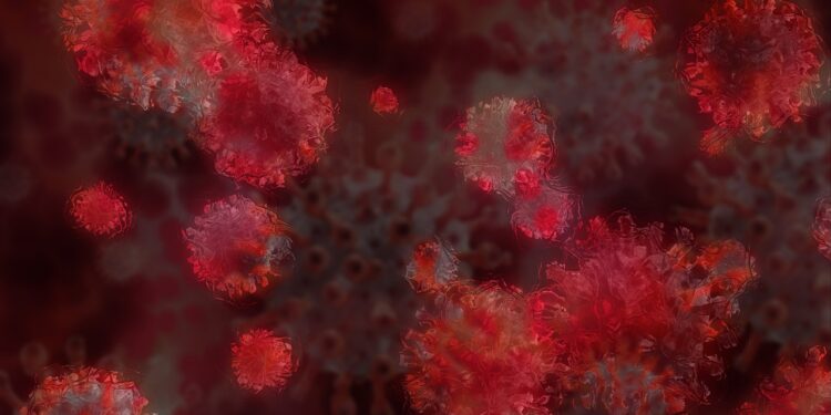 Gamma será la variante de Covid-19 predominante en México; revelan