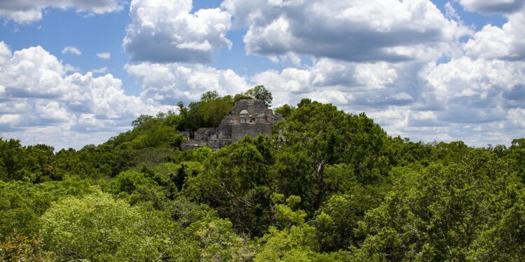 Calakmul, la reserva tropical terrestre más grande de México