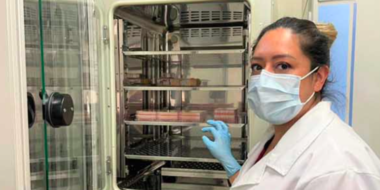 Ella es Paola Castillo Juárez, la científica mexicana que desarrolló biofármaco para tratar el Covid-19