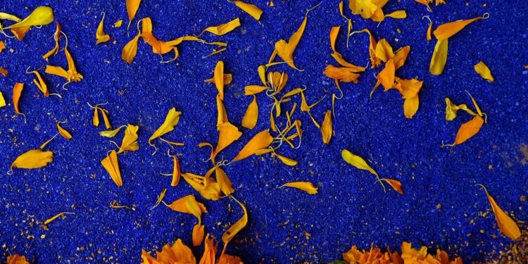 La leyenda de la flor de CEMPASÚCHIL