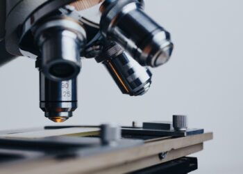 La ciencia básica es indispensable para entender problemáticas mundiales