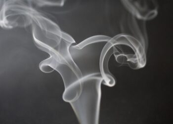 Aumento del 26% respecto a la década anterior el consumo de drogas en el mundo