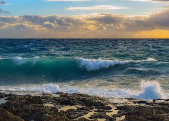 Formarán al 100% de las comunidades costeras en riesgo de aquí a 2030
