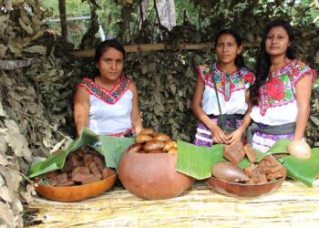 Grave y sistemática es la violencia contra las mujeres y niñas indígenas en el mundo