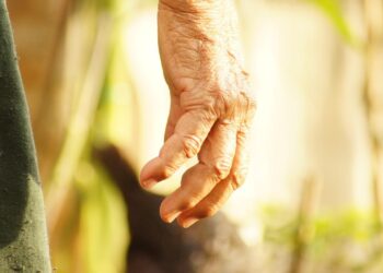 Los trabajadores rurales merecen cobertura de protección social: OIT