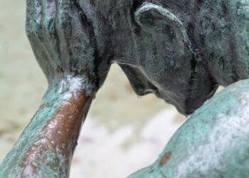 Más de 200 enfermedades humanas pueden verse afectadas por el cambio climático, esto se sabe