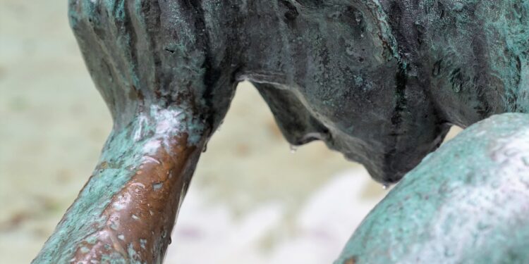 Más de 200 enfermedades humanas pueden verse afectadas por el cambio climático, esto se sabe