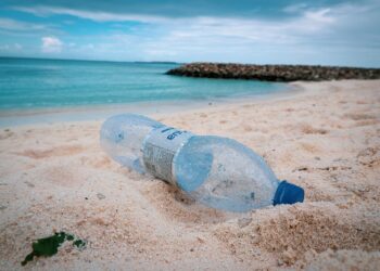 En 2050 habrá 25 mil millones de toneladas plásticas en el mar