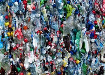 El uso masivo de plástico en la agricultura afecta nuestra salud, la del suelo y la producción de alimentos