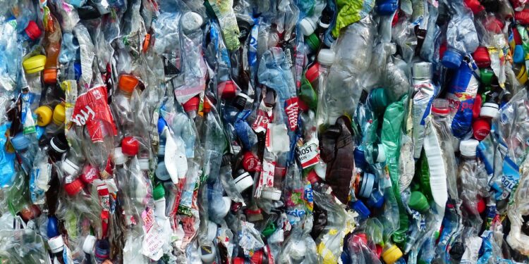 El uso masivo de plástico en la agricultura afecta nuestra salud, la del suelo y la producción de alimentos