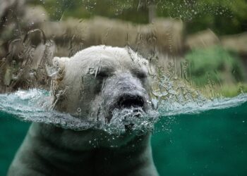 Los fenómenos climáticos extremos de 2022 muestran la urgencia de actuar inmediatamente