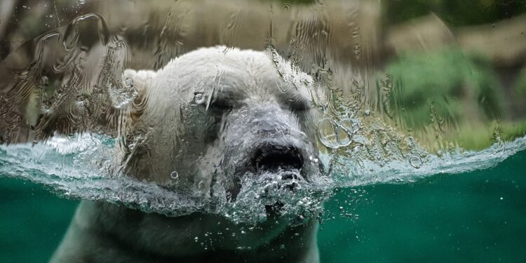 Los fenómenos climáticos extremos de 2022 muestran la urgencia de actuar inmediatamente