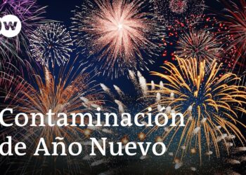Organizaciones ecologistas advierten del impacto de los fuegos artificiales | DW