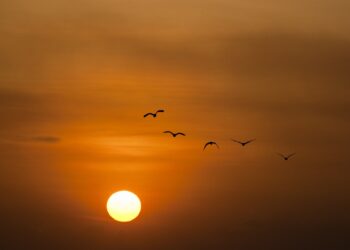 El 2022 se confirma como uno de los años más cálidos