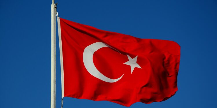 Hace un llamamiento de 1000 millones de dólares para aumentar las operaciones de ayuda en Turquía