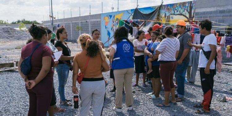 ONU Derechos Humanos en México llama a investigar la muerte de cinco personas en Nuevo Laredo