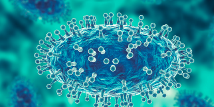 Mpox: Los casos bajan un 90% en tres meses, pero el virus sigue transmitiéndose en algunos países