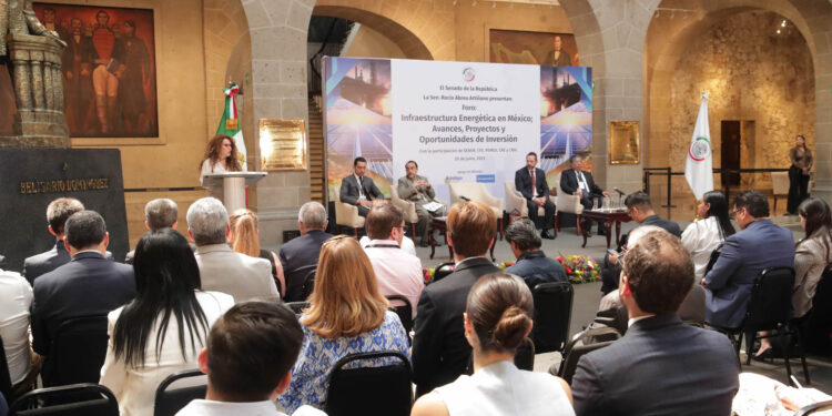 Plantean desde el Senado impulsar trabajo entre gobierno e IP para aprovechar potencial energético