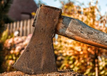 Presentarán iniciativa de reforma para reconocer en la ley la figura de ecocidio; busca sanciones más severas