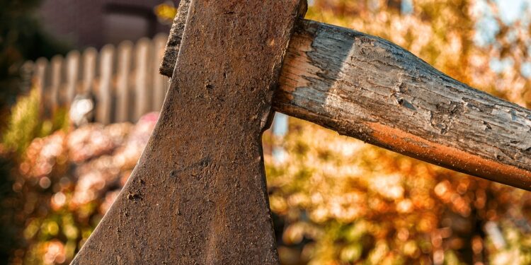 Presentarán iniciativa de reforma para reconocer en la ley la figura de ecocidio; busca sanciones más severas