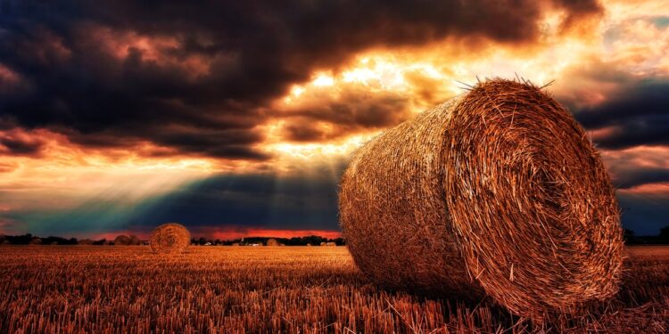 ¿Qué es el verano boreal y por qué está marcado récords?