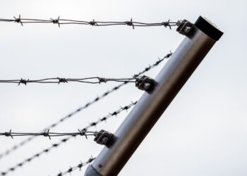 Piden a México no deportar a quienes necesitan protección internacional